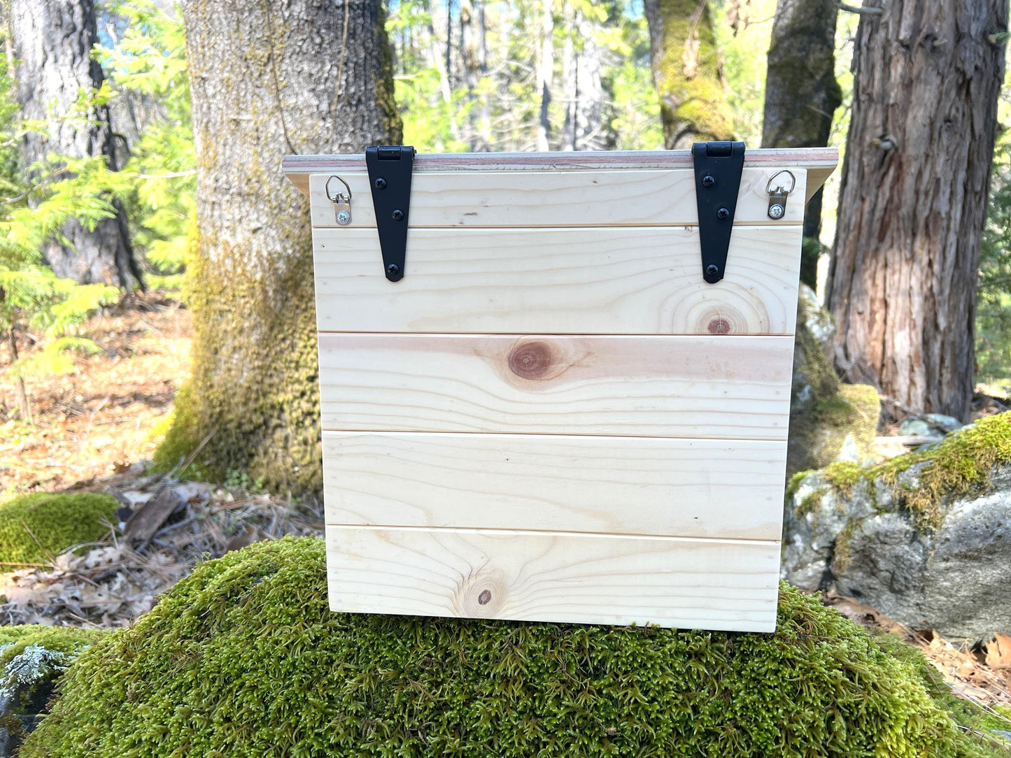 Tall Wooden Wall Mount Mailbox Unfinished, ready to paint or stain.