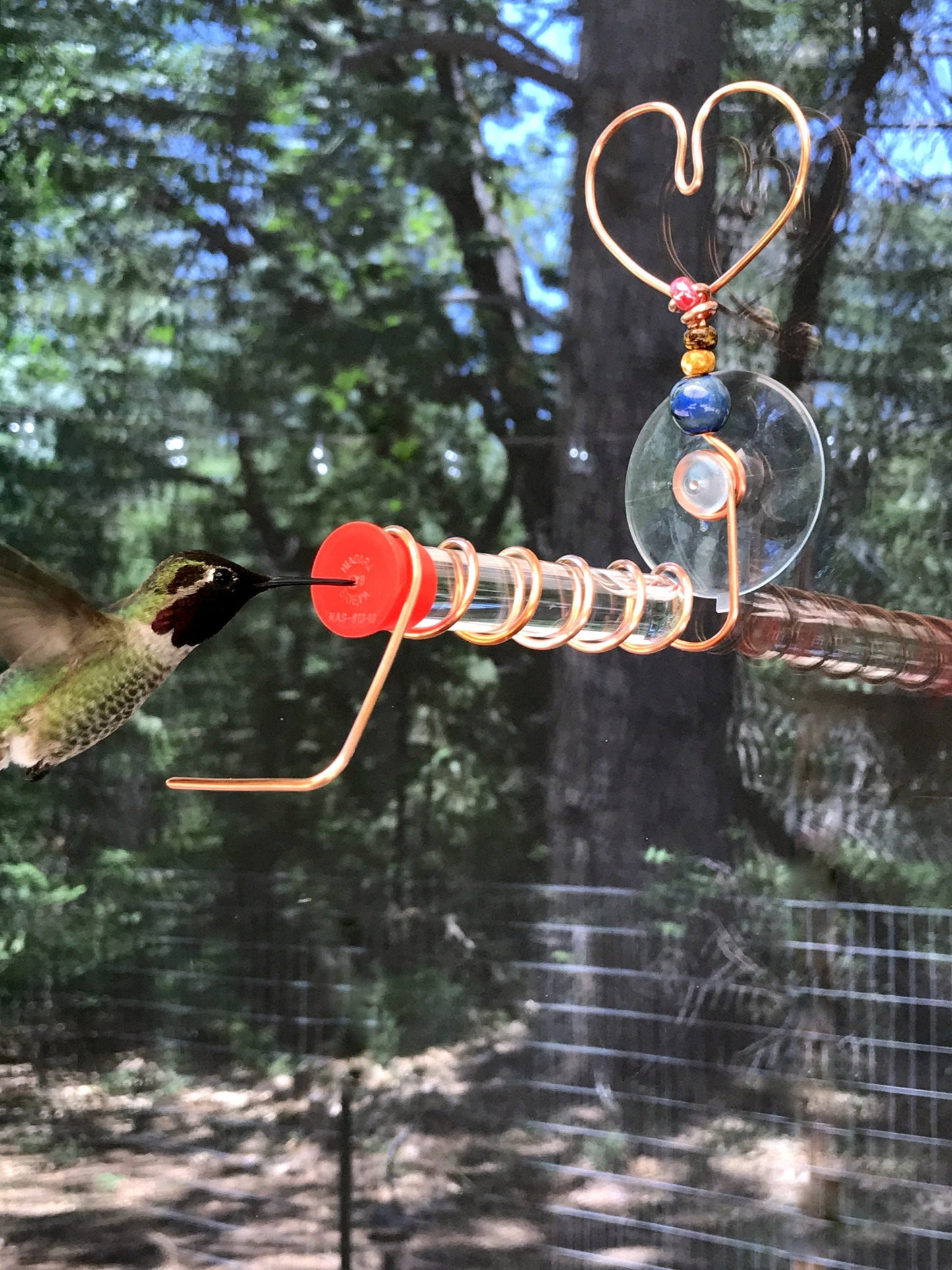 Copper Heart Test Tube Window hummingbird feeder, suction cup mount.