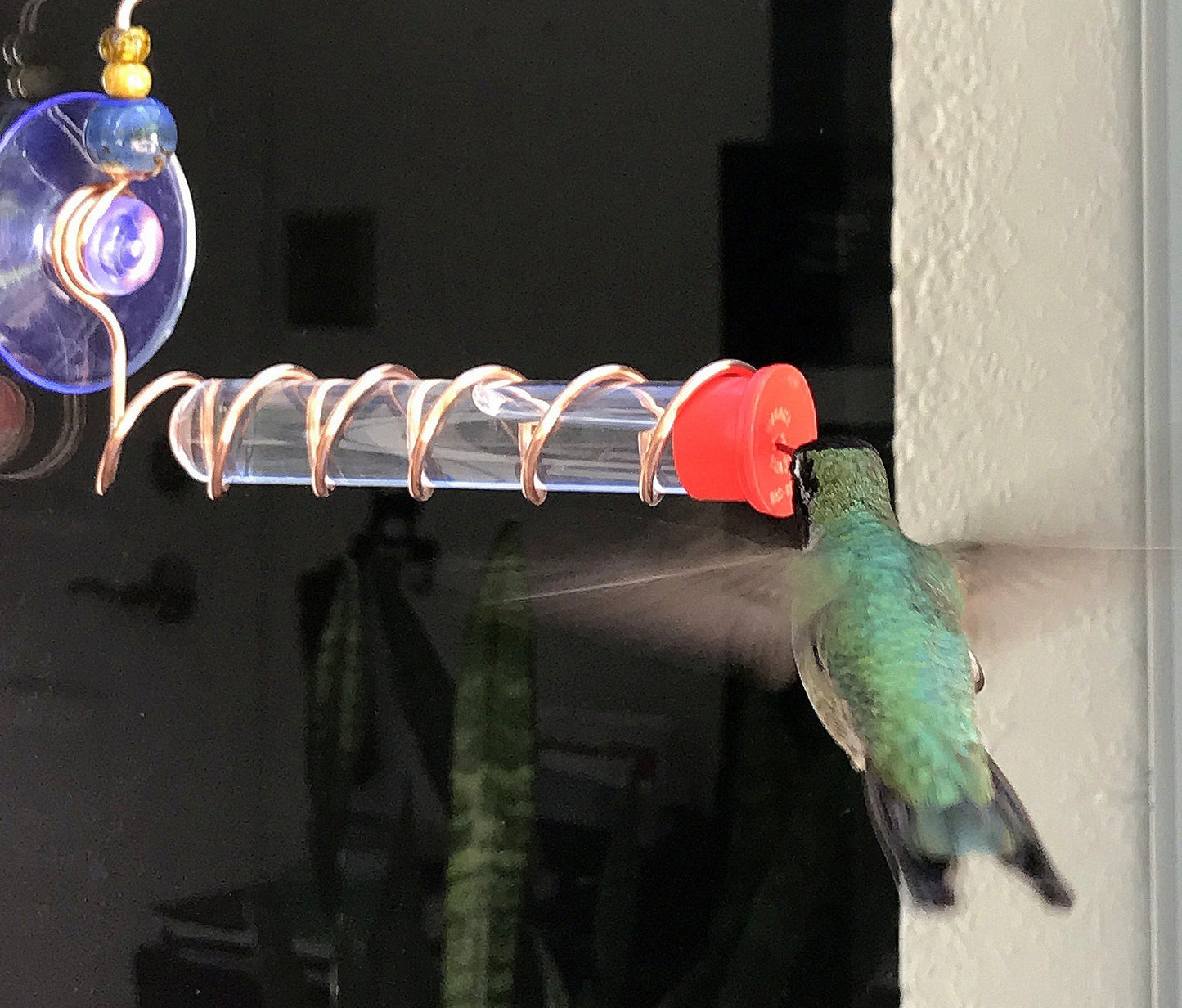 Replacement glass test tube for DIY hummingbird feeders with red cap, Set of 6.