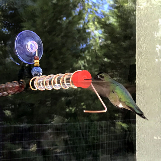 Test Tube Hummingbird feeder for window, Suction cup mount and Copper hummingbird feeder.