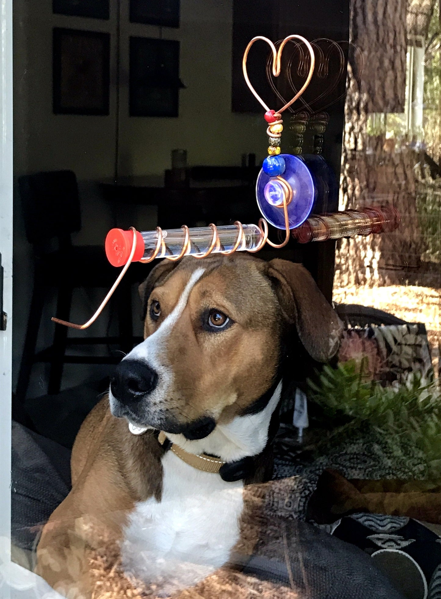 Copper Heart Test Tube Window hummingbird feeder, suction cup mount.