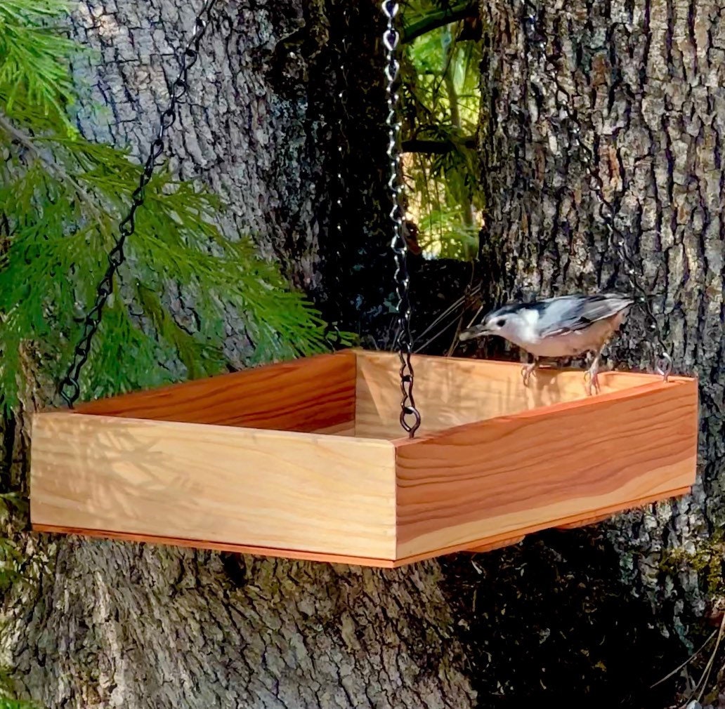 Redwood Platform Tray Bird Feeder, Large hanging bird feeder, includes seed.